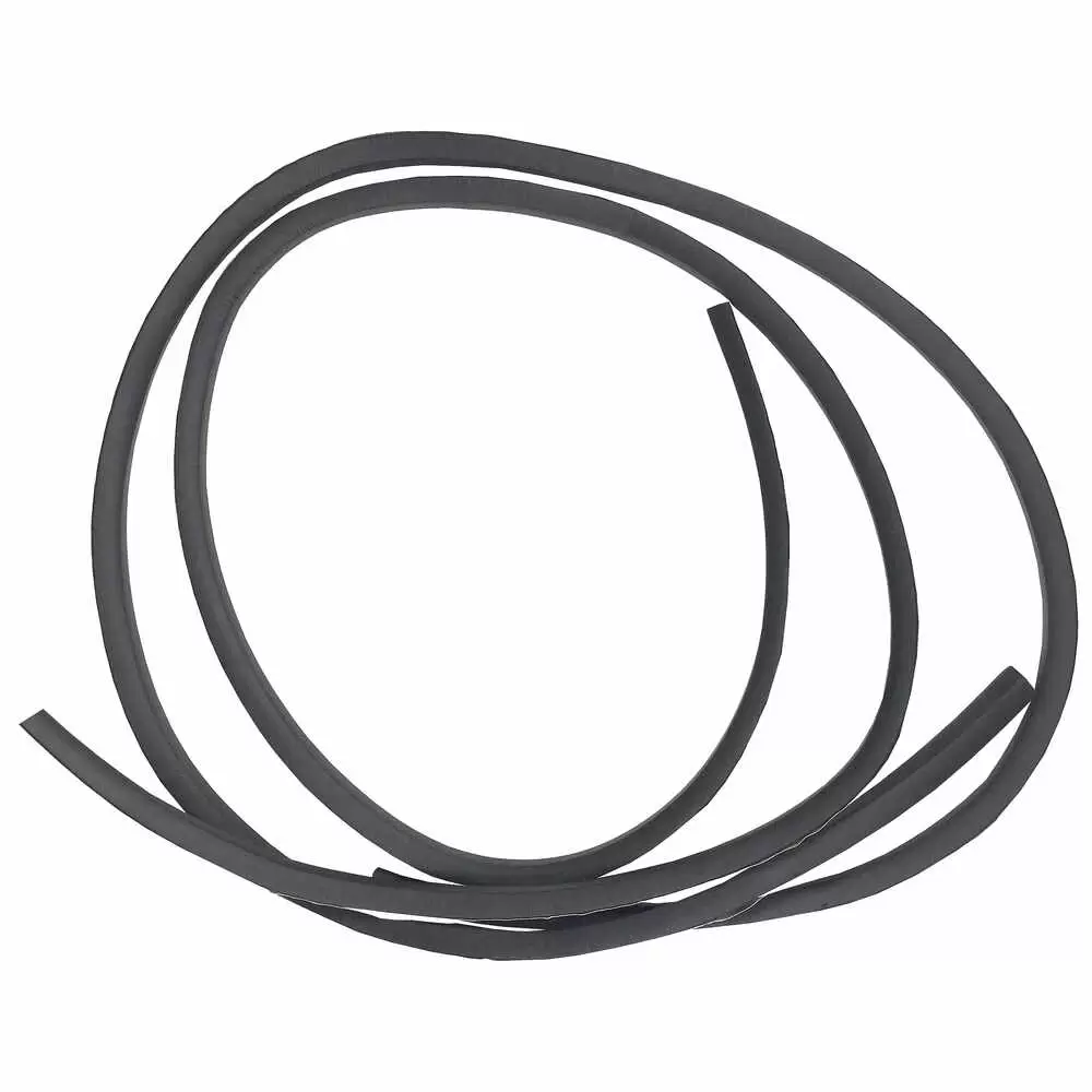 84-87 Buick Grand National Anti-Vibration Strip - T-Top