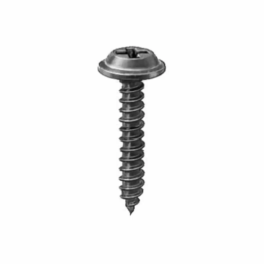 Black Oxide Tapping Screws for Walkin Vans - AV12216