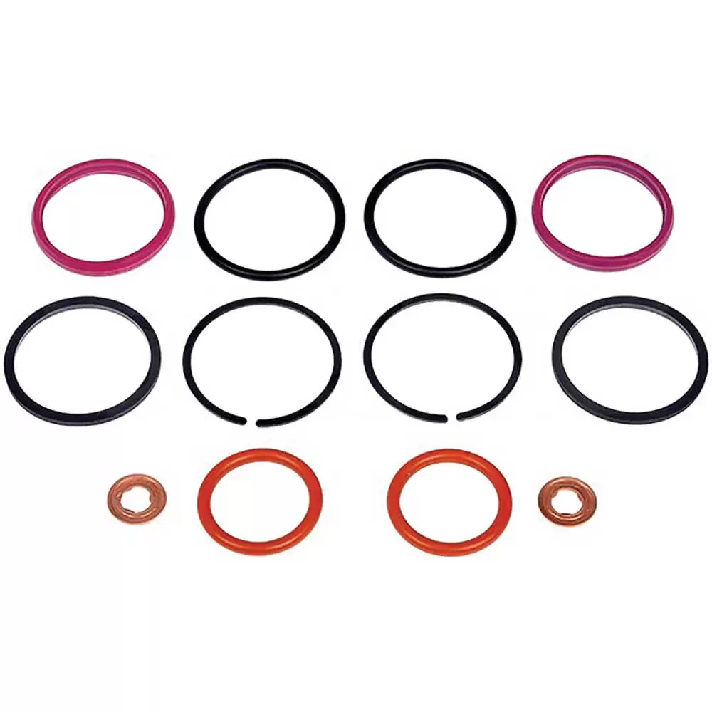 Diesel Fuel Injection O-Ring Kit - Fits International 4300/4400/4700/4800/4900 1994-2004, 7300/7400/7500 2002-2004