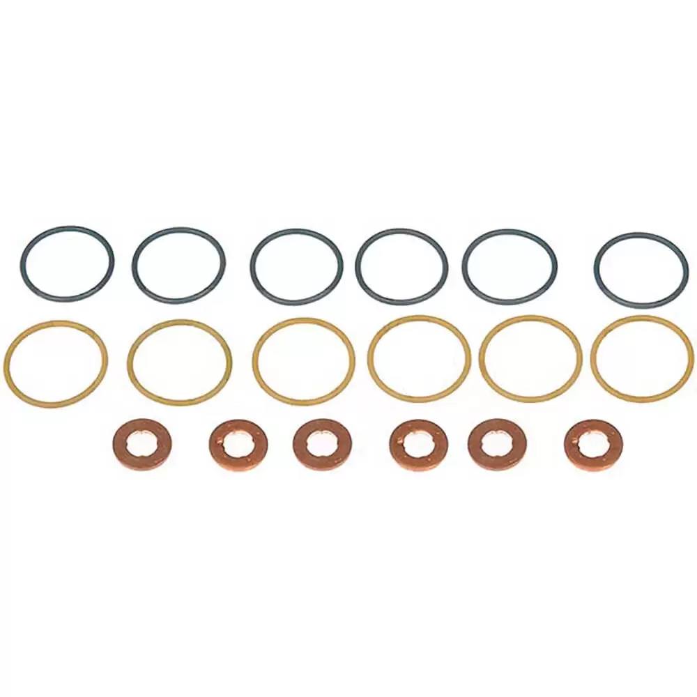 Fuel Injector O-Ring Kit - Fits Freightliner M2 106 2008-2017, M2 112 2013-2017, MT35 2004-2005, MT45/55 2000-2017