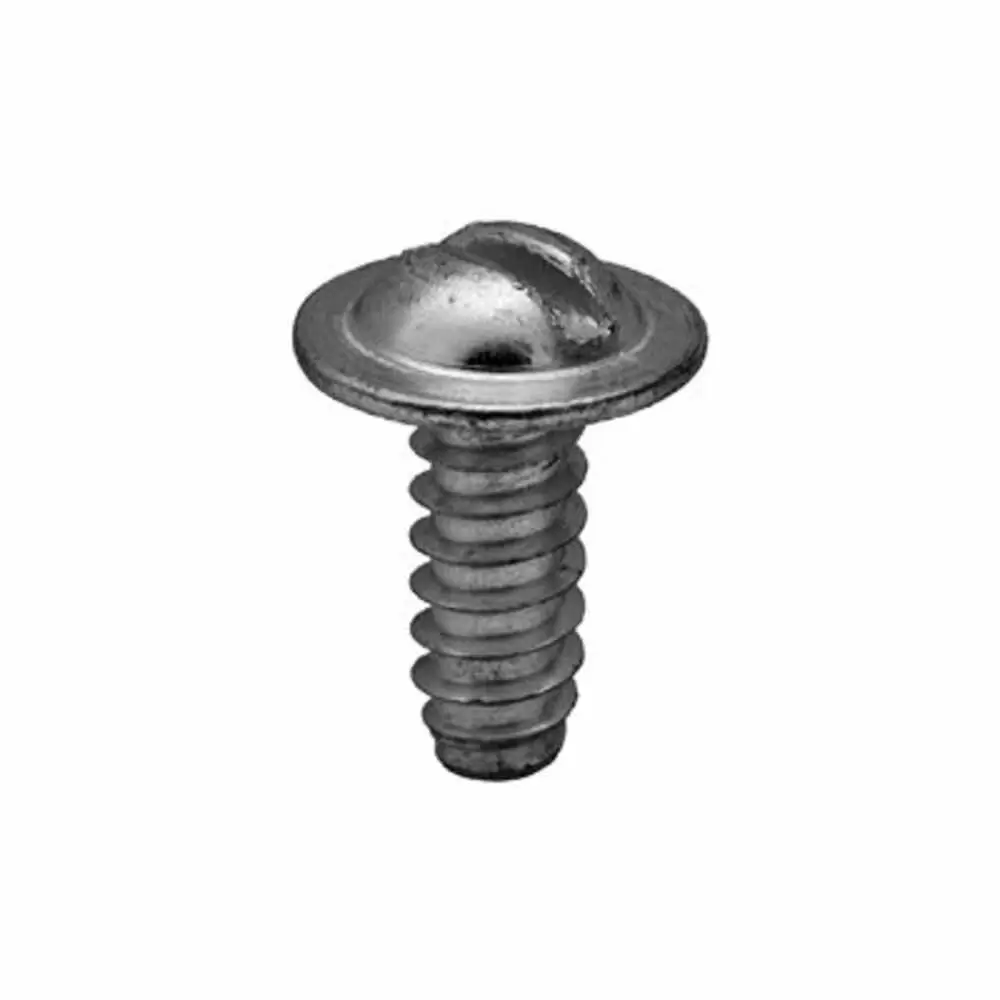 License Plate Screw 1 4X5 8