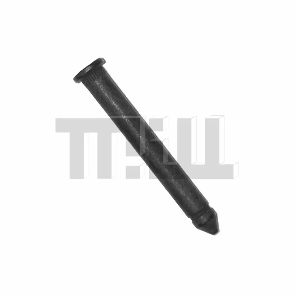 Nova, Omega Skylark Door Hinge Pin