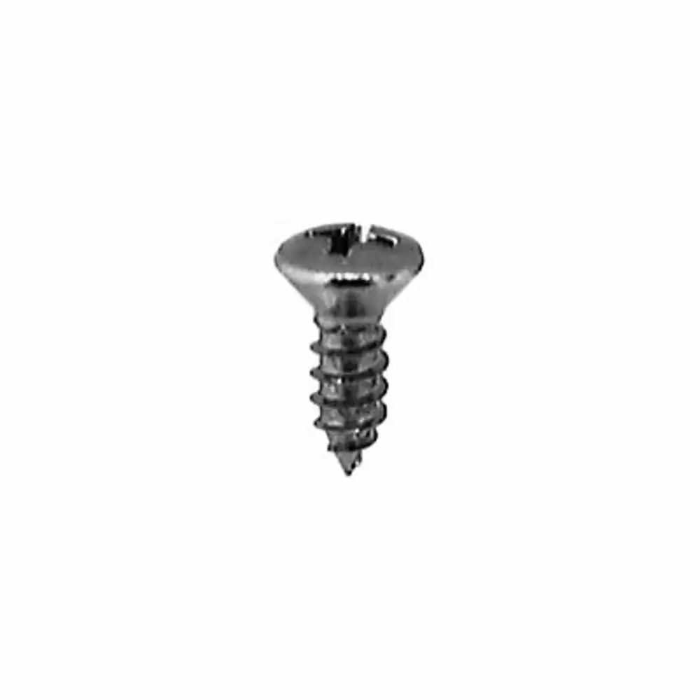 Phillips Oval Head Tapping Screw for Stepvans