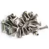 1958 Chevrolet Pickup Truck CK Door Panel Screw Set 0847-152