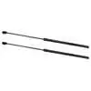 1987 Jeep Wrangler YJ Hardtop Liftgate Support Strut Kit 