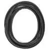 2000-2006 Toyota Tundra Regular Cab Door Seal Front on Body, Right / Passenger Side