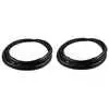2017 Dodge Ram 2500 Pickup Truck Promaster Front Door Seal on Body Kit, 2 Pieces