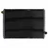 Radiator fits Ford L, LN, LTL, CL Series