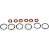Fuel Injector O-Ring Kit - Fits Freightliner M2 106 2008-2017, M2 112 2012-2015, MT45/55 2000-2017 
