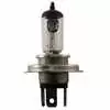 Standard Halogen Headlight Bulb