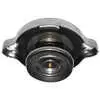 Coolant Recovery Cap for the Workhorse and Freightliner