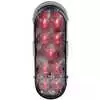 LED 6" Oval Light Red Light with Clear Lens, 9 Diode