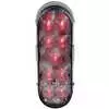 LED 6&quot; Oval Light Red Light with Clear Lens, 9 Diode