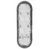 LED Oval back up lights only with AMP Connector, 9 LEDs